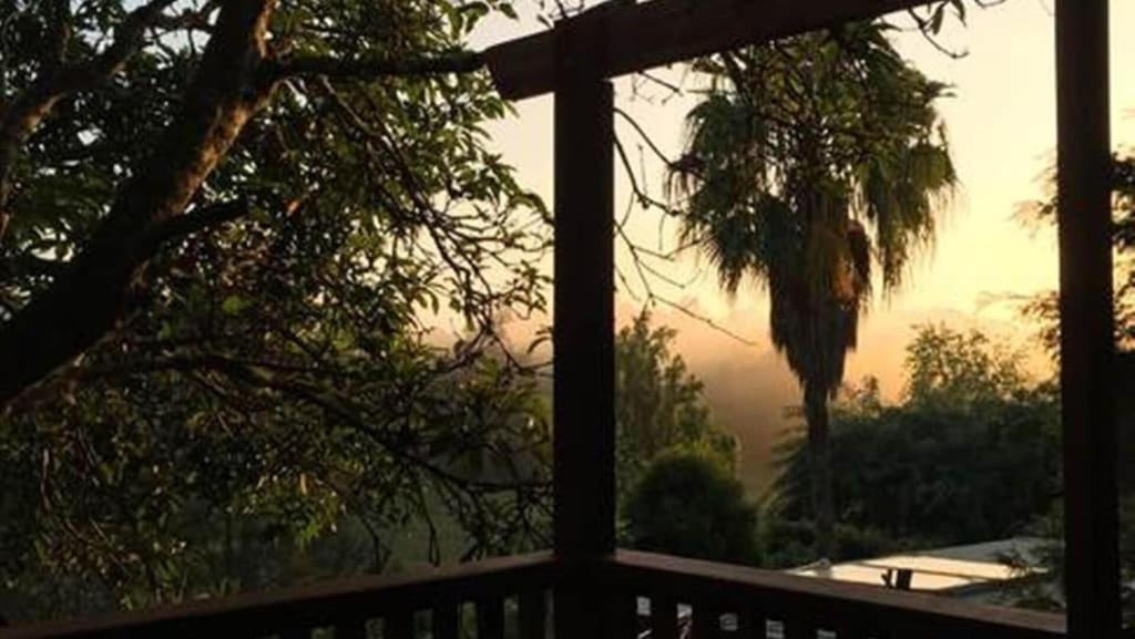 Potters Cottage Bellingen Luaran gambar