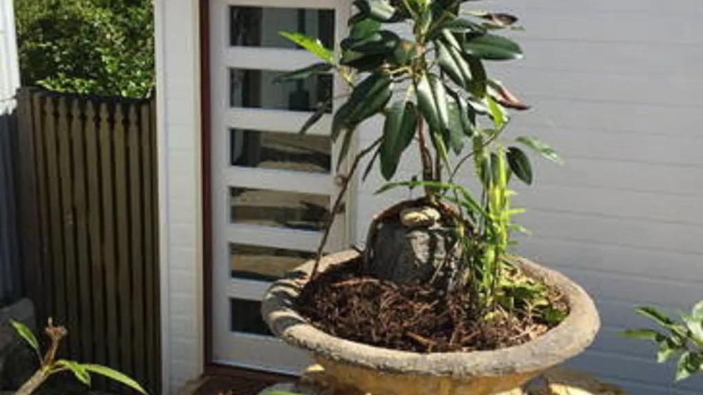 Potters Cottage Bellingen Luaran gambar