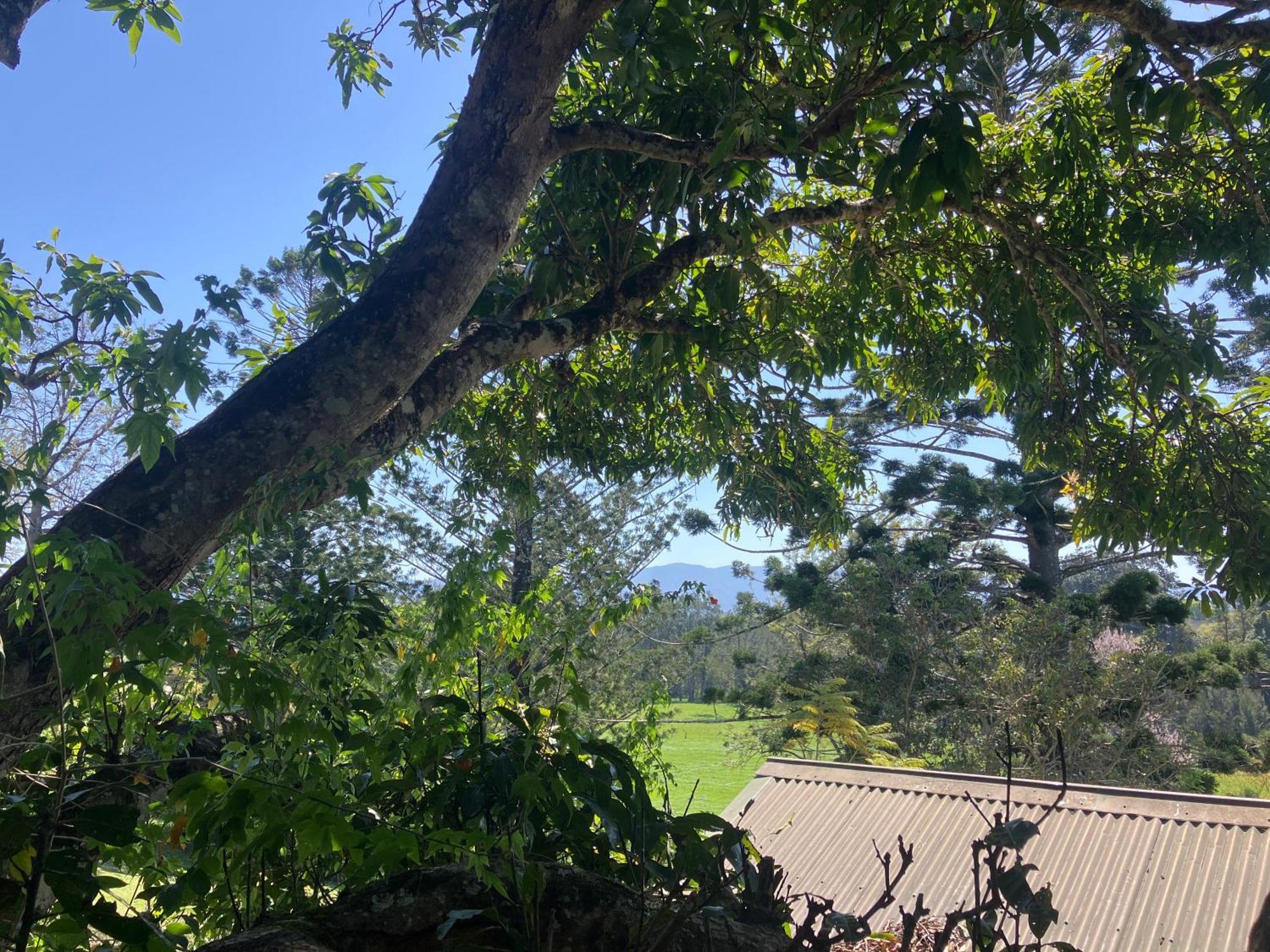 Potters Cottage Bellingen Luaran gambar