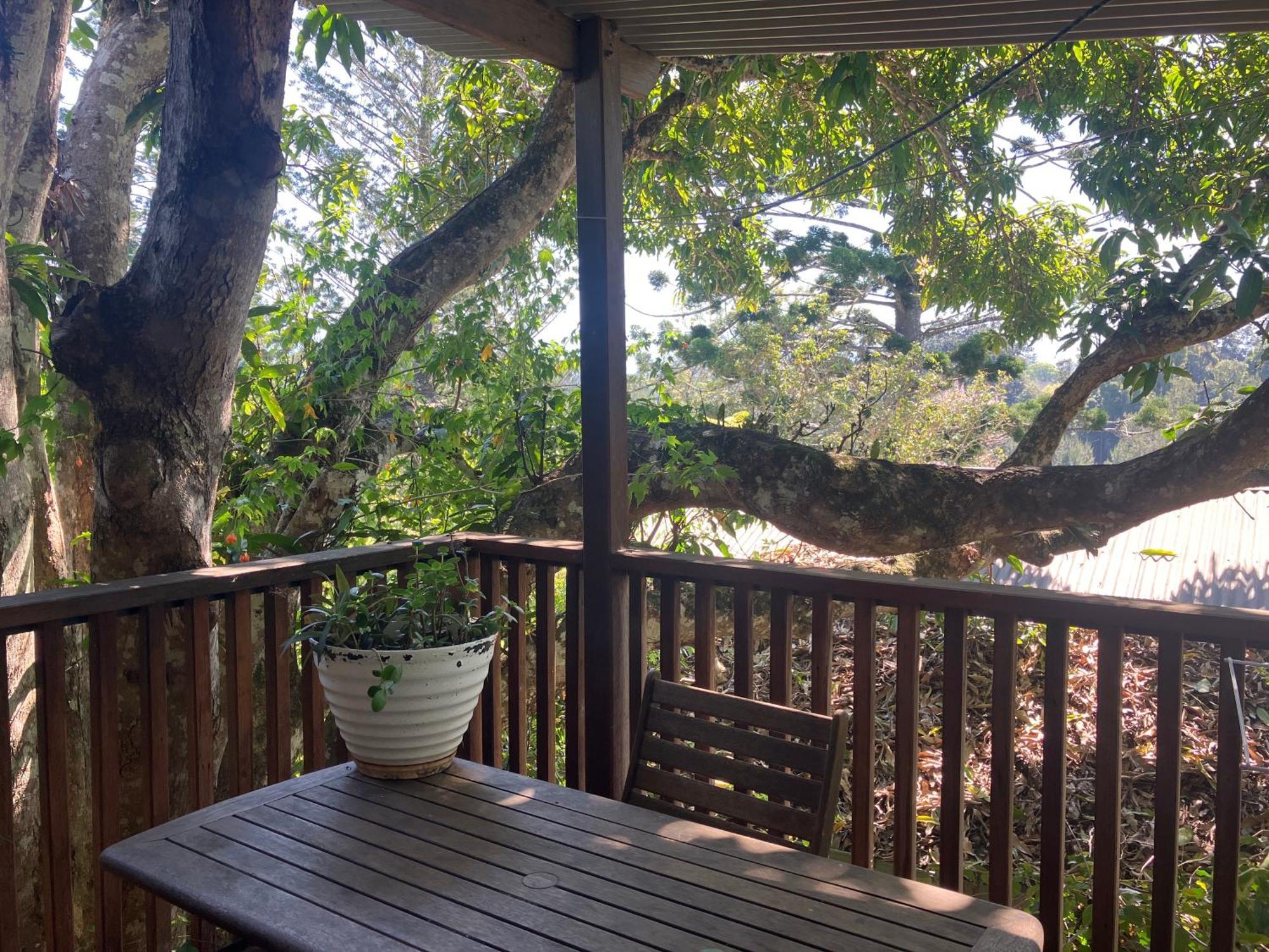 Potters Cottage Bellingen Luaran gambar